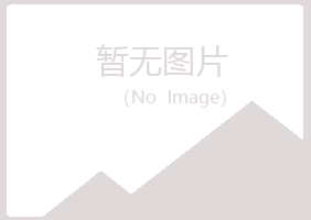 平川区冰蓝教育有限公司